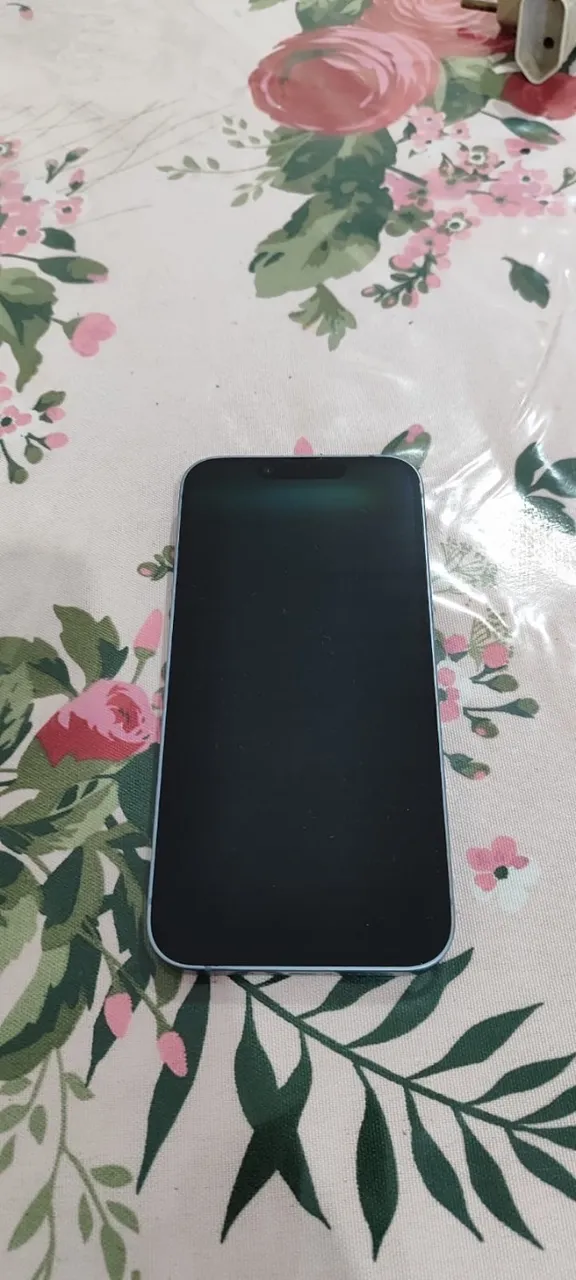 IPhone 14 de (513 Gb)
