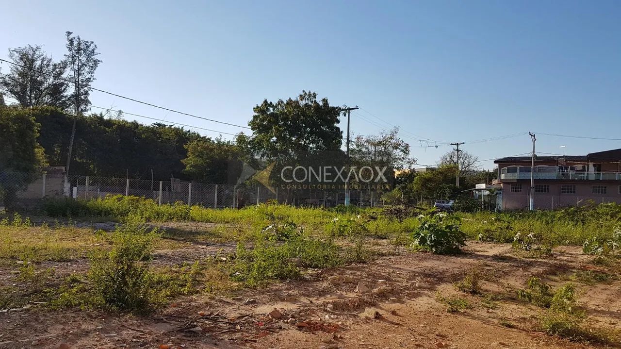 terreno - Jardim Florence - Campinas - Foto 4
