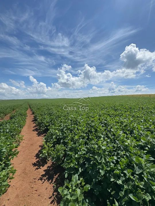 Terreno à venda Neves - Foto 2