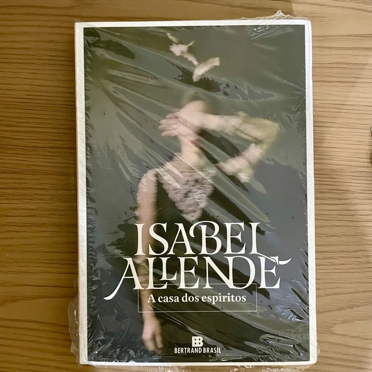 Livro A Casa dos Espíritos - Isabel Allende