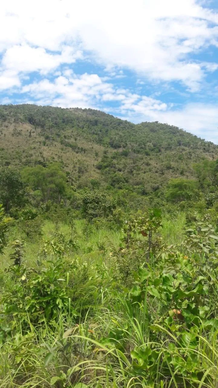 FAZENDA 43,5 ALQ  - Foto 12