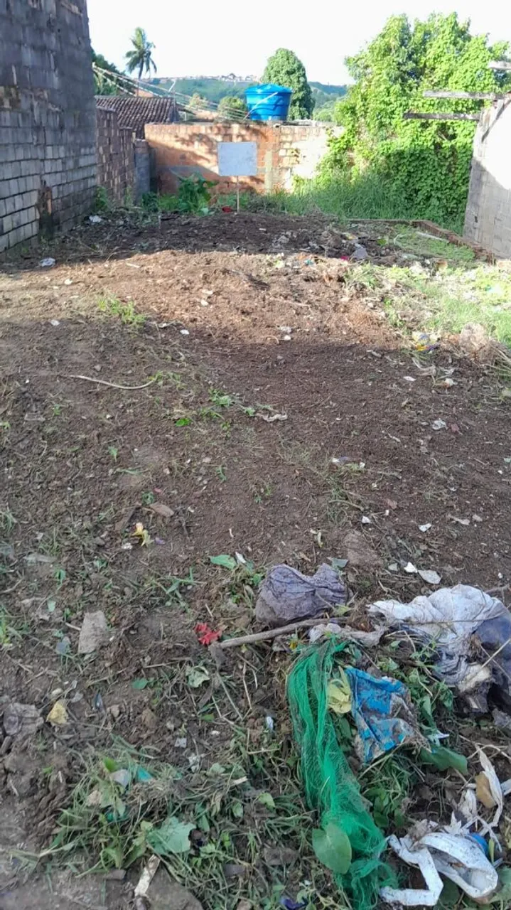 Vendo terreno no rio novo
