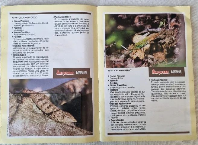 Álbum - Sertões - 1991 - Nestlé - Completo - Interior em Ótimo Estado - Foto 4