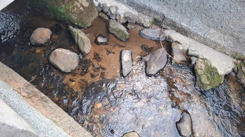 Espetacular Chácara com 12.000m², na Belíssima Mantiqueira, Riquíssima em Água Delfim More - Foto 9