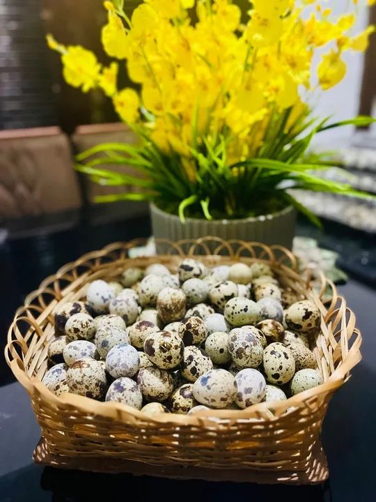 Ovos de codorna frescos - Foto 4