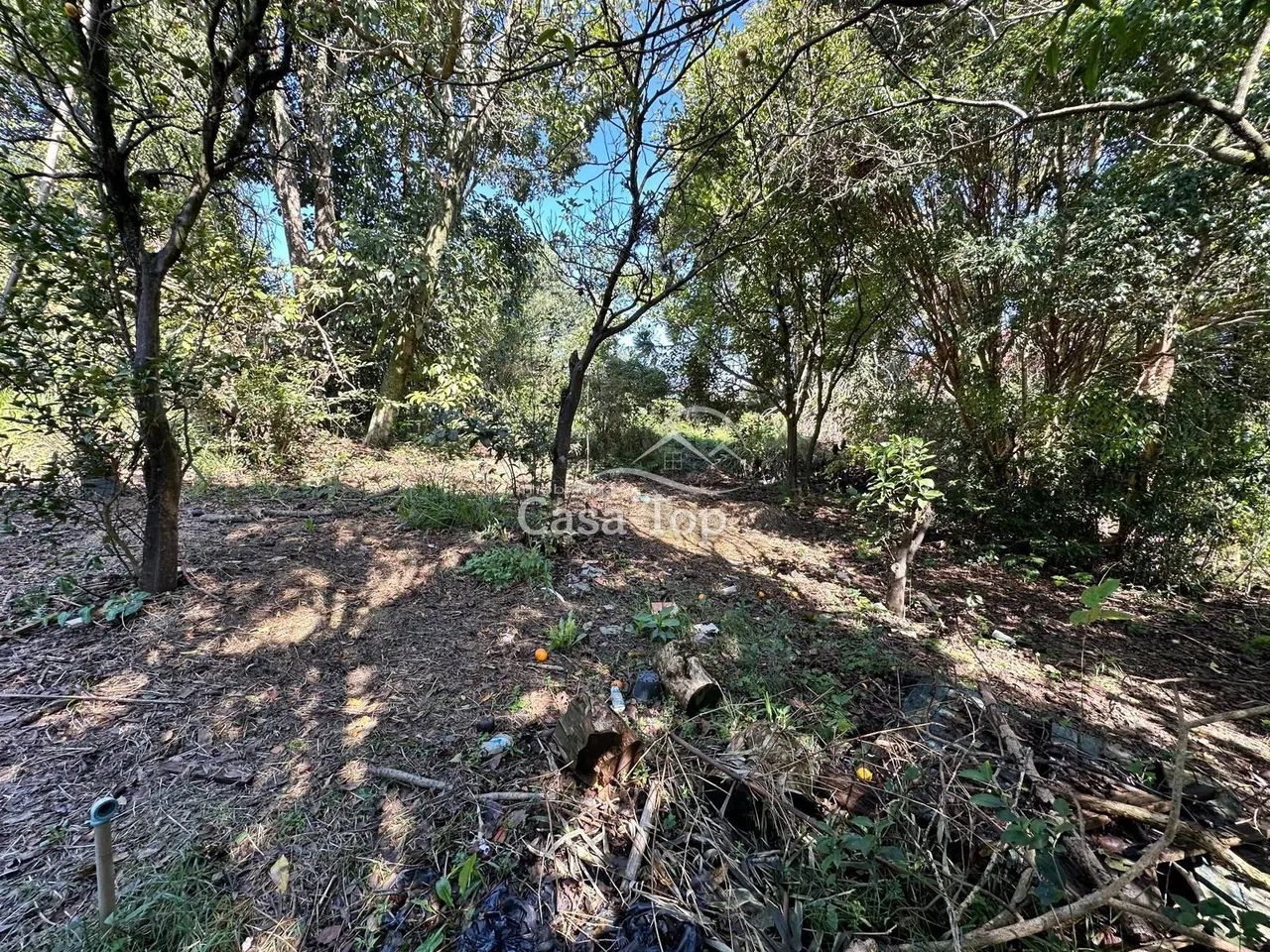 Terreno à venda Uvaranas - Foto 3