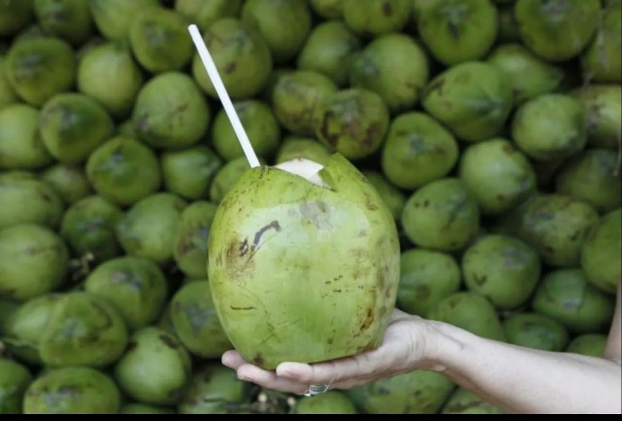 Água de Coco Fresquinha e Natural
