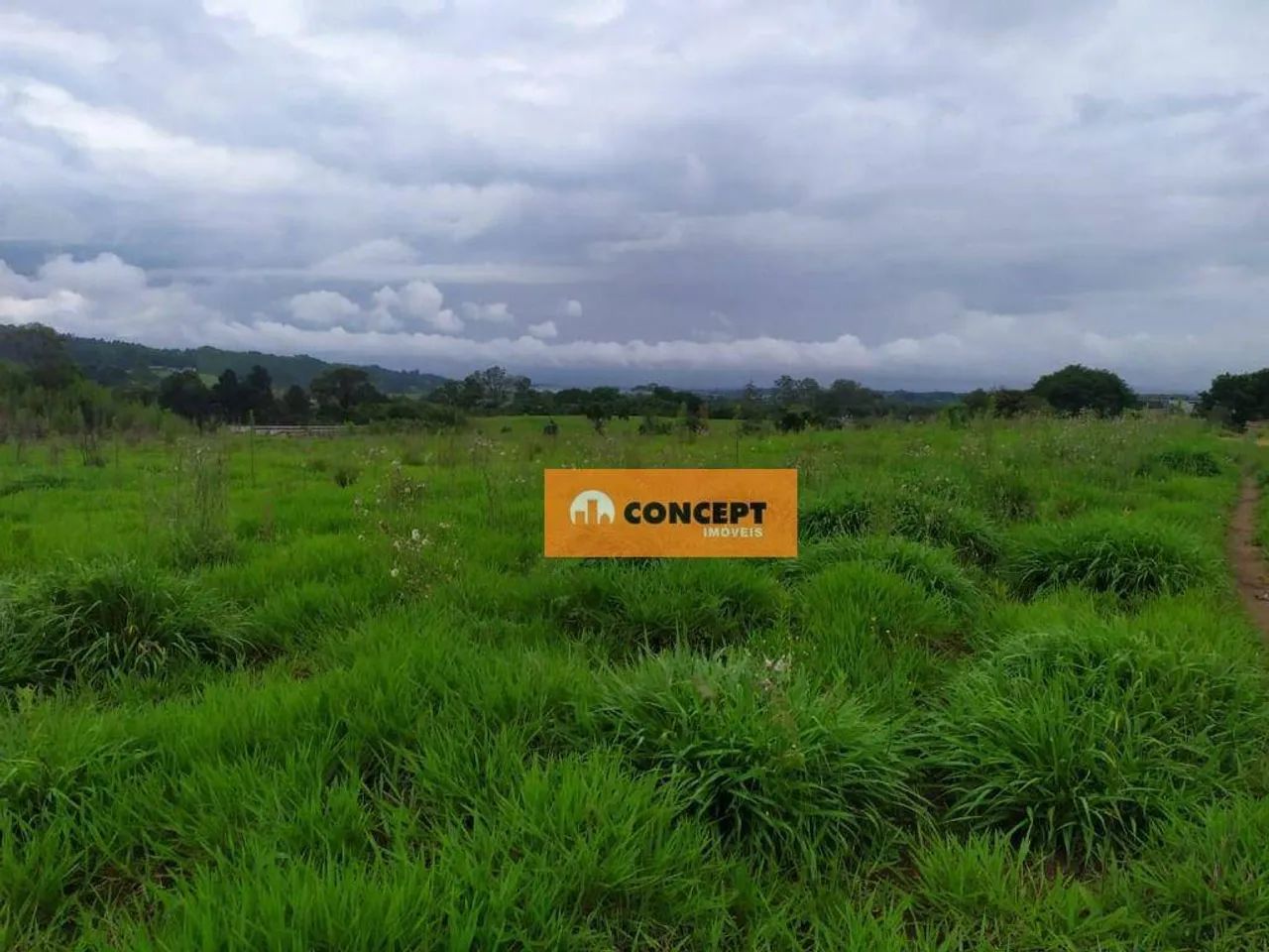 Área à venda, 20093 m² por R$ 1.900.000,00 - Jardim Alto da Boa Vista - Suzano/SP - Foto 2