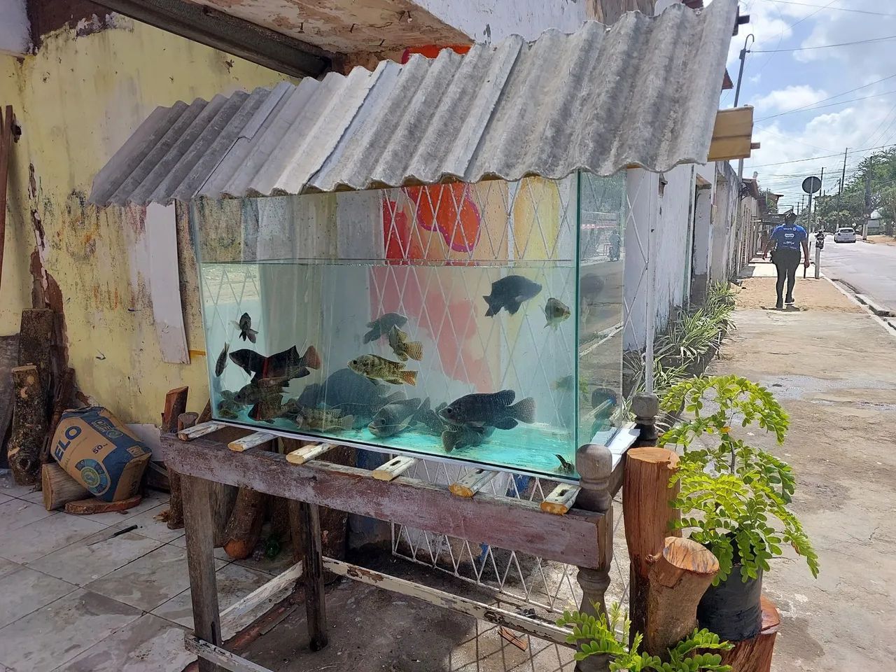 Aquário de vidro - Foto 3