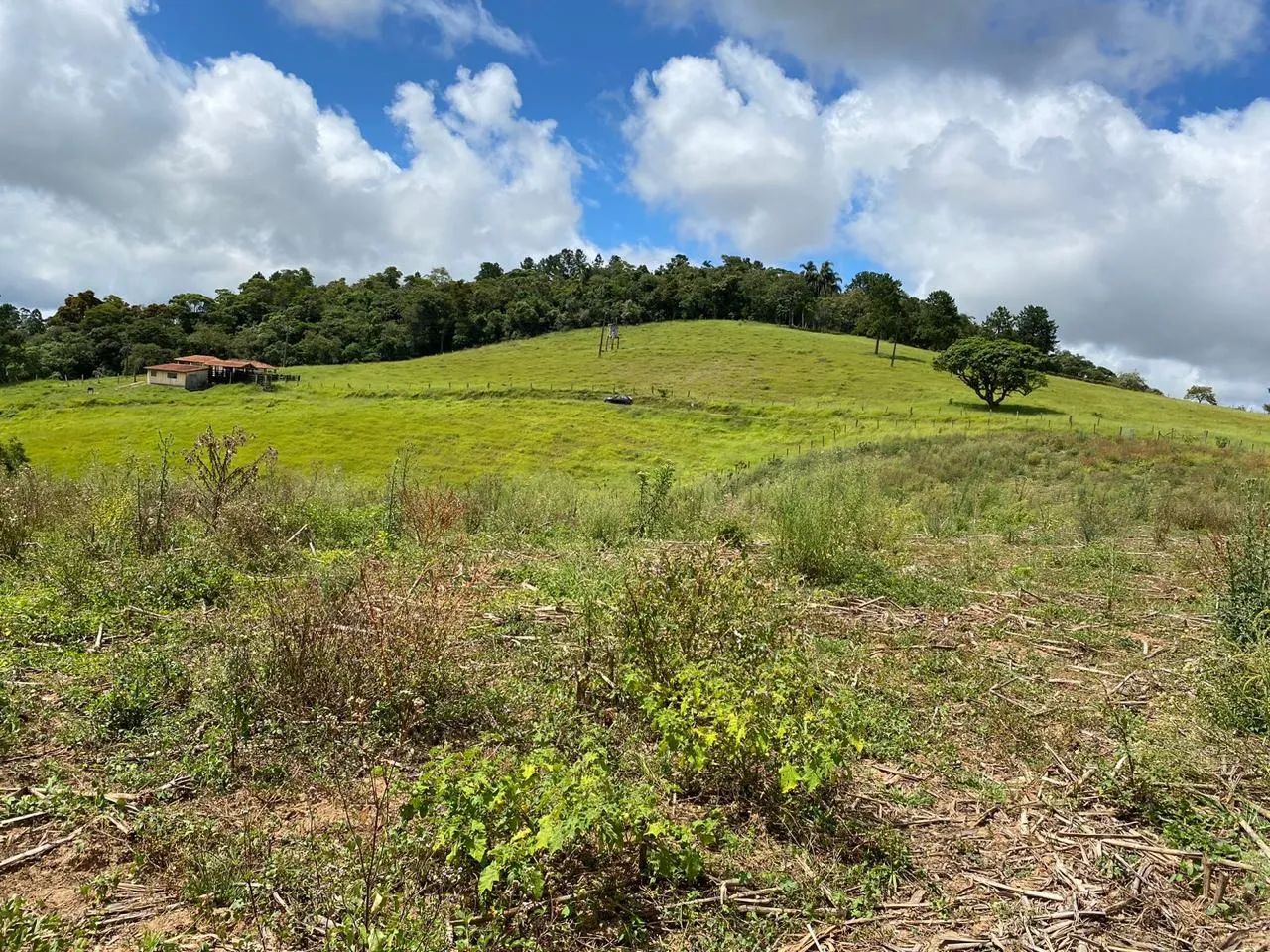 - LOTES EM IBIUNA DIVISA COM SÃO ROQUE