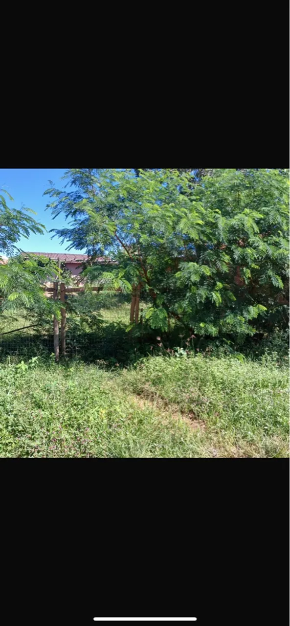 Venda