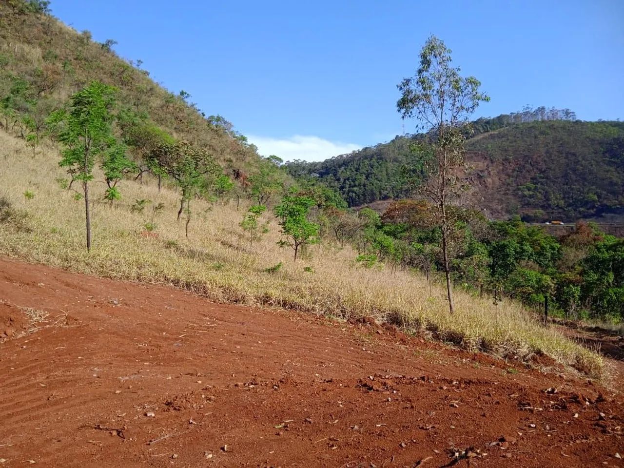 foto - Brumadinho - 
