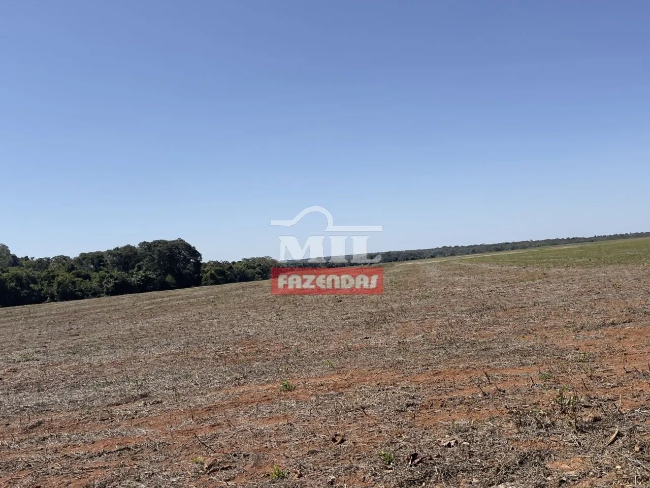 Fazenda Extra de 100 Alqueires (490 Hectares) em São Miguel do Araguaia - GO. - Foto 4