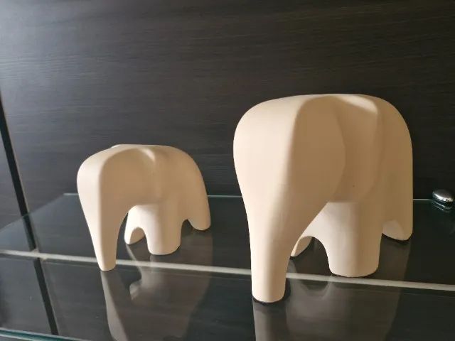 Dupla de Elefante  - Foto 2