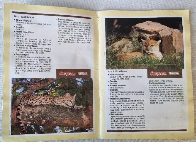 Álbum - Sertões - 1991 - Nestlé - Completo - Interior em Ótimo Estado - Foto 2