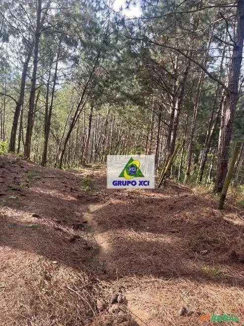 Fazenda à venda, 2420000 m² por R$ 7.500.000,00 - Itapirapua Paulista - Itapirapuã Paulist