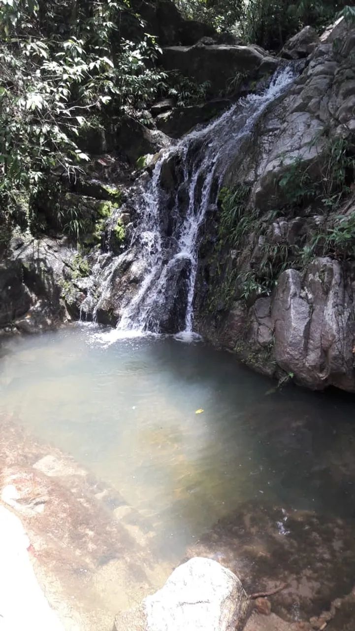 FAZENDA 43,5 ALQ  - Foto 8