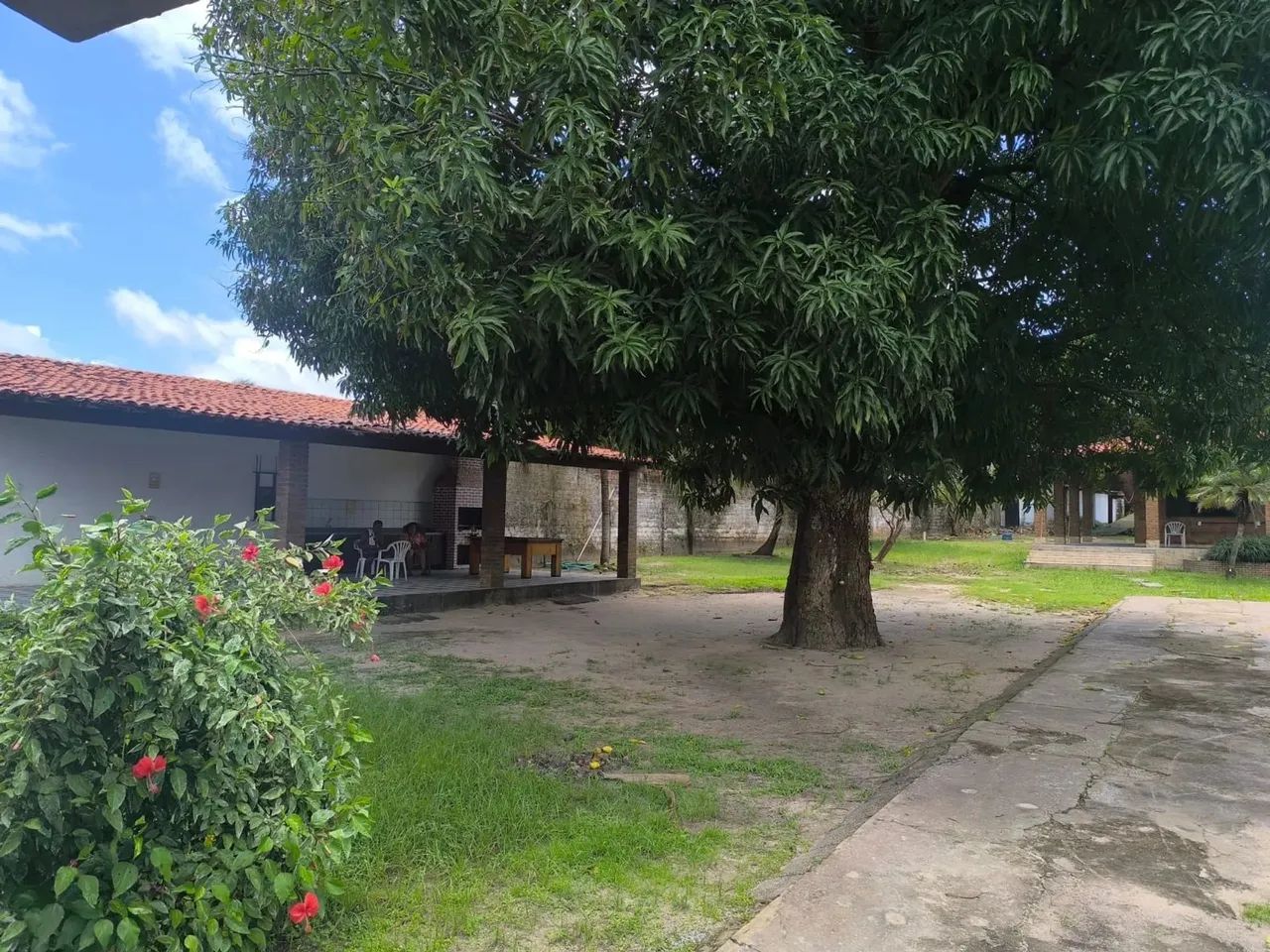 Vendo chácara na estrada de Sao José de Ribamar - Foto 3