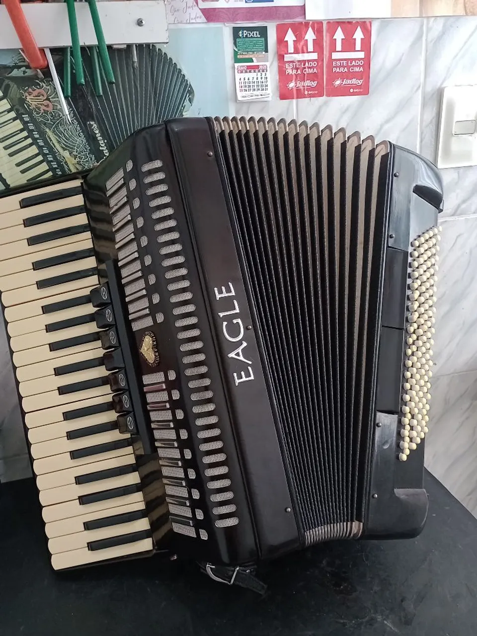Sanfona EAGLE 120 baixos 3850