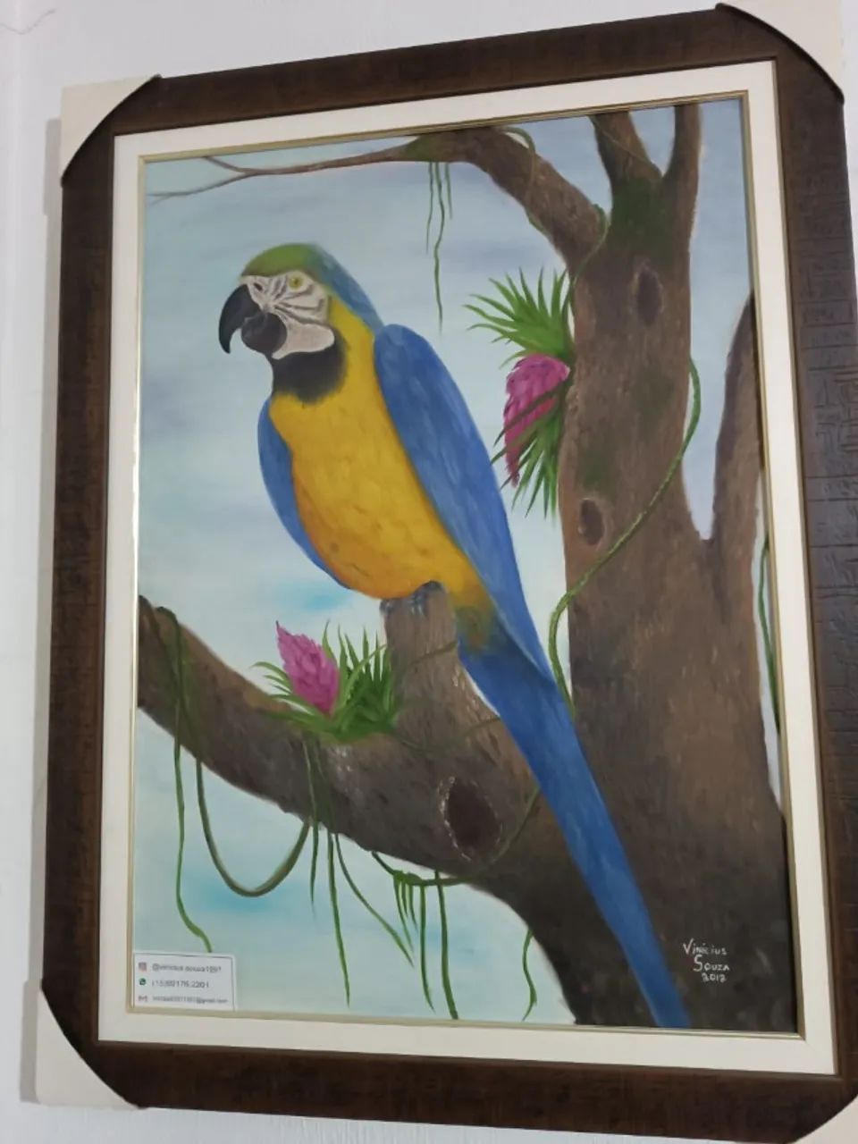 Quadro Arara