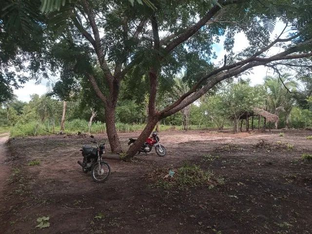 Vendo terreno em Timon - Foto 5