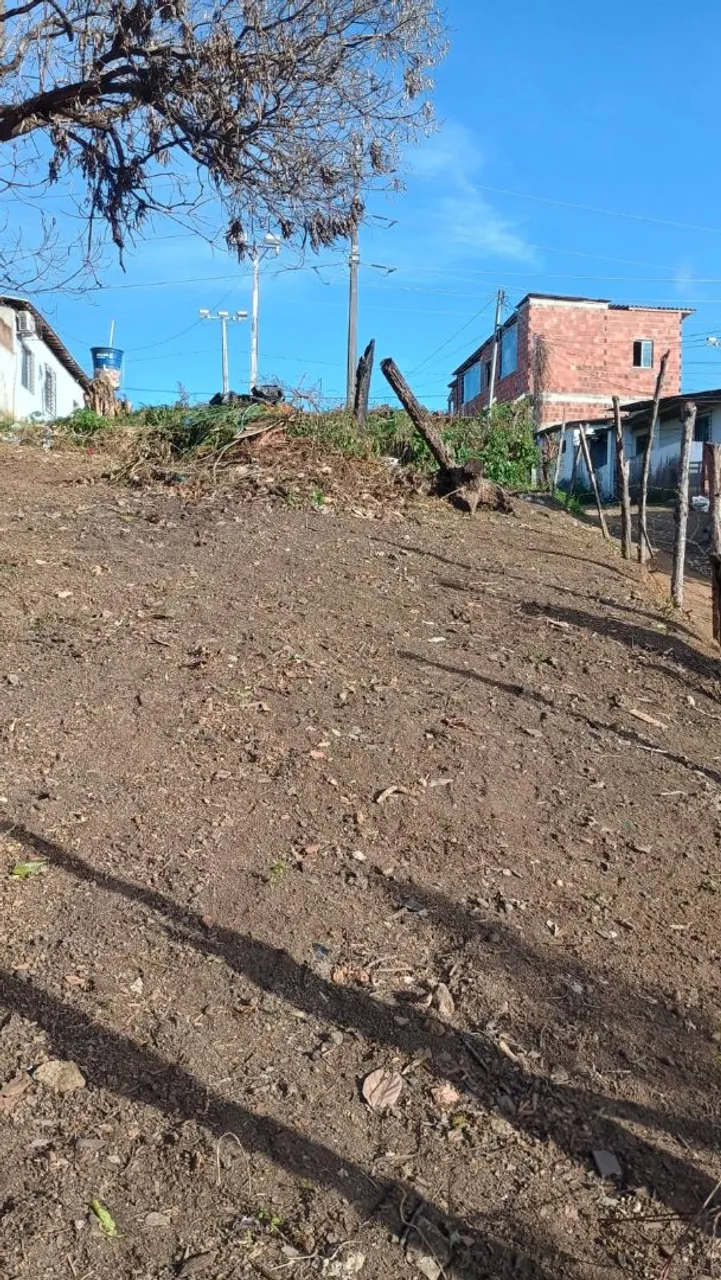 Terreno 11x26