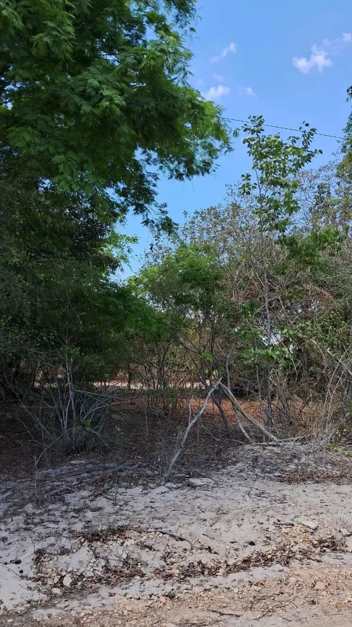 Terreno rural 10x40 metros . Valor R$1.500,00 avista ou 3 vezes no cartão  - Foto 4