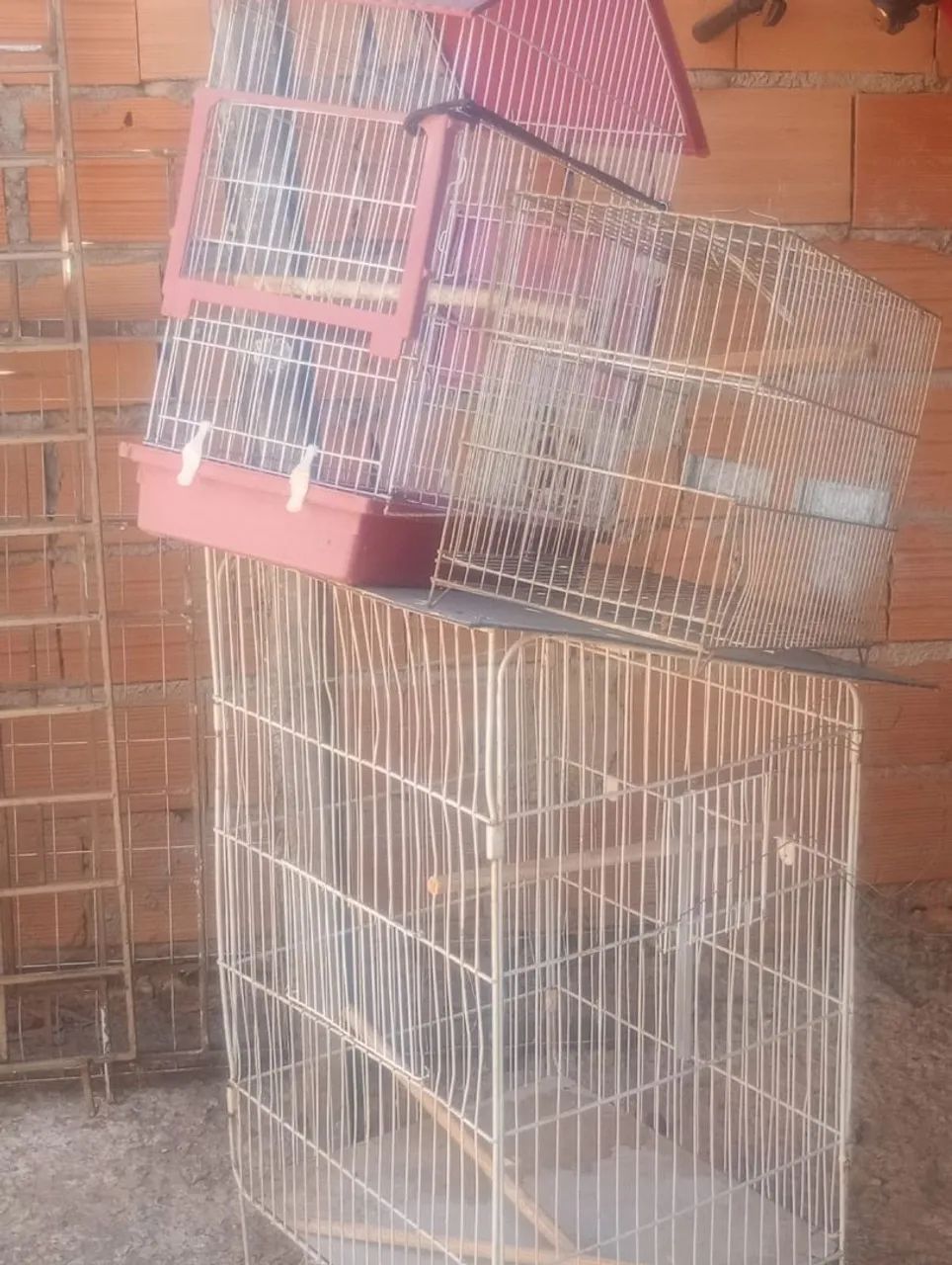 Gaiolas 