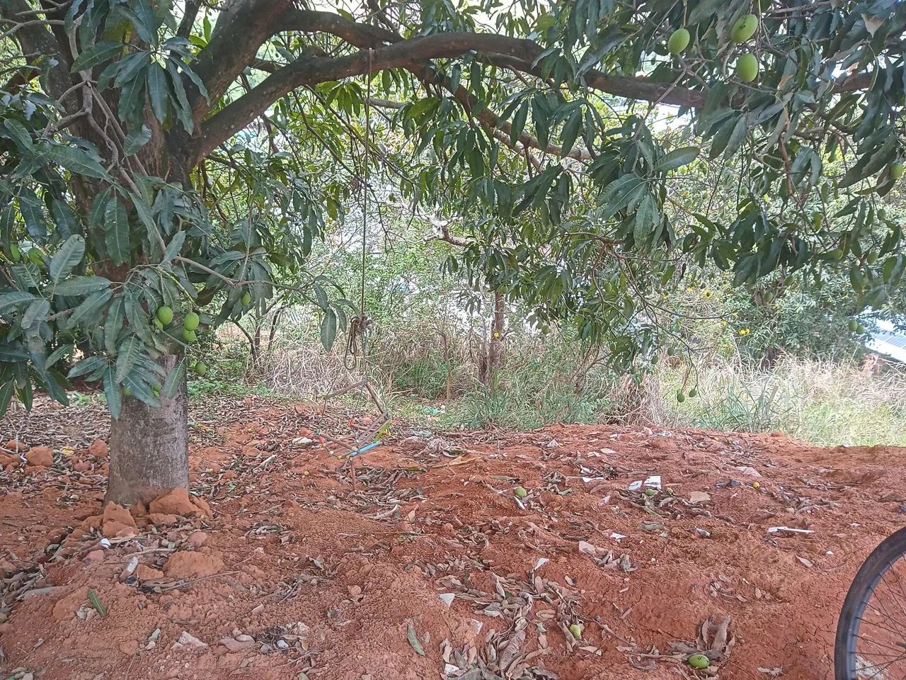 TERRENO OTIMO PARA CONSTRUIR - Foto 3