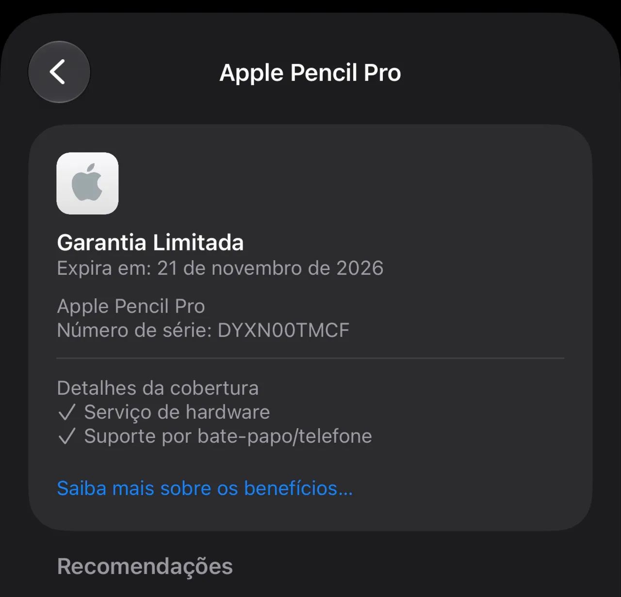 Apple Pencil Pro (Semi Nova) c/ Garantia  - Foto 3