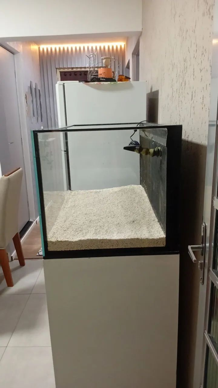 Aquário marinho  - Foto 4