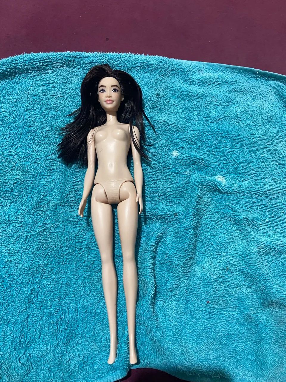 Lote de Barbies 