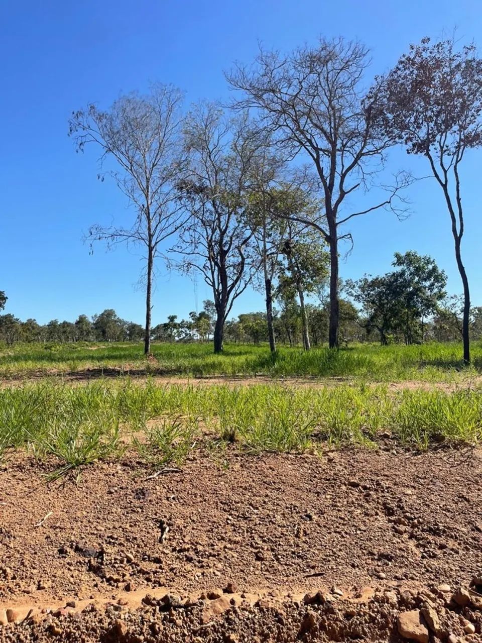 Chácara em condomínio - Quinta do Lago  - Foto 5