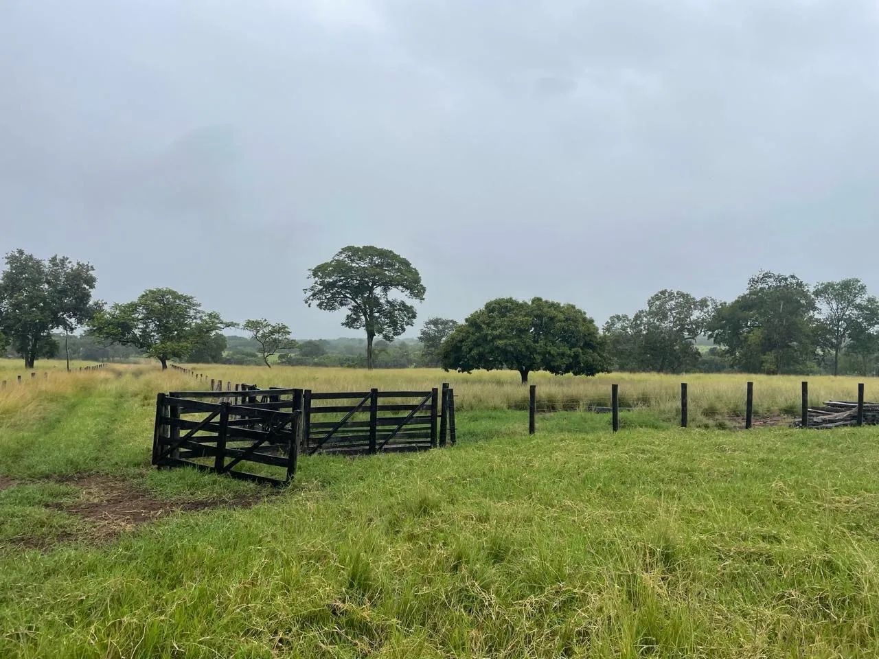 Fazenda Nova crixás-goias  - Foto 3