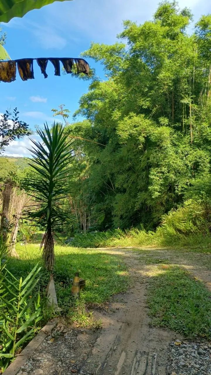 Terreno rural Santo amaro da imperatriz  - Foto 2