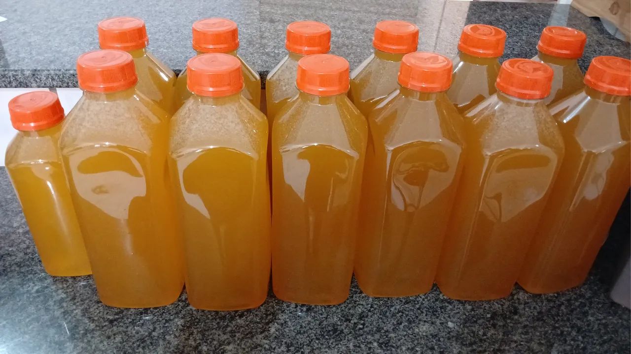 VENDO MEL DE ABELHA EUROPA 100% PURÍSSIMO ( ATACADO E VAREJO) 