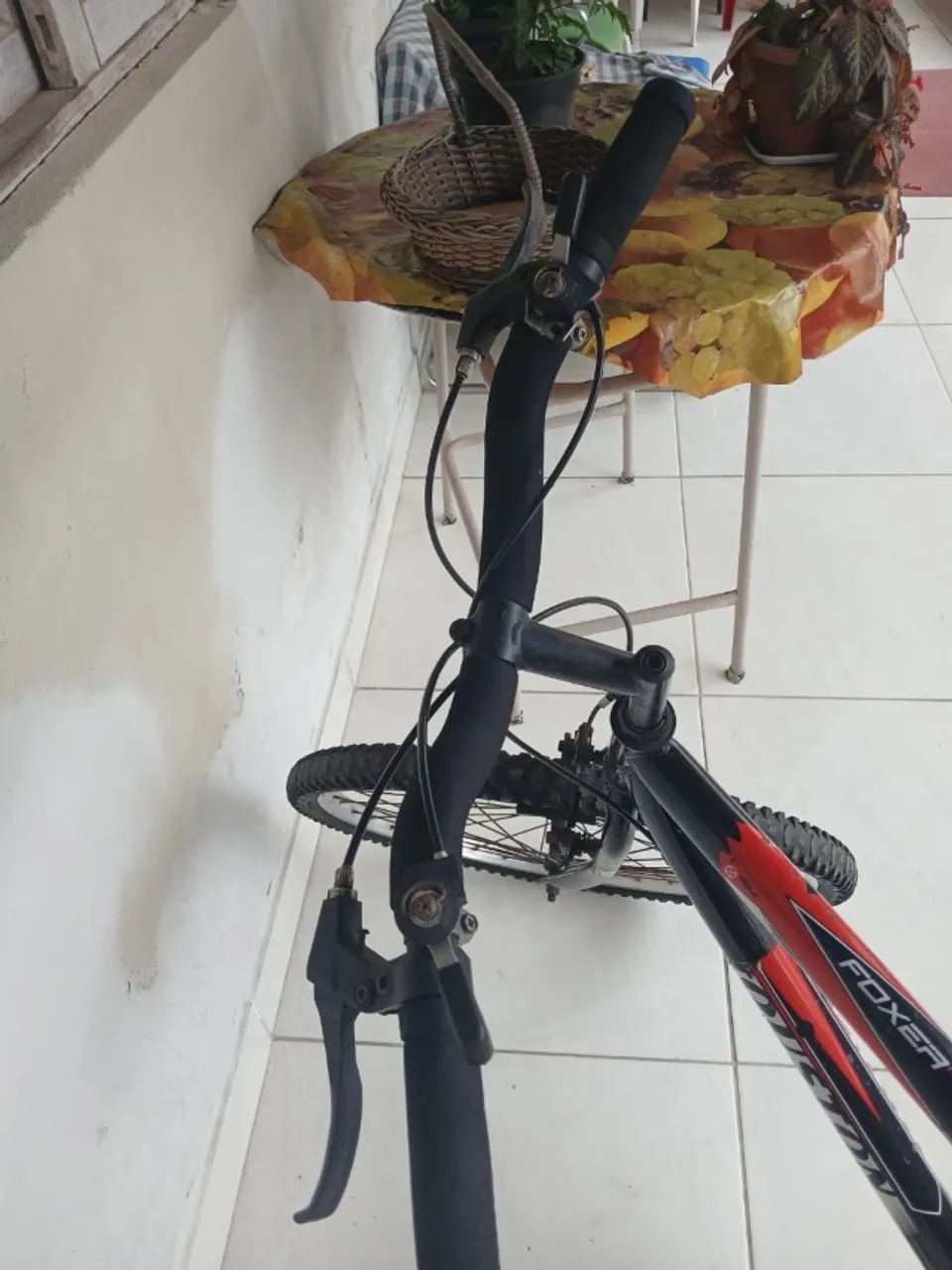 Bicicleta 