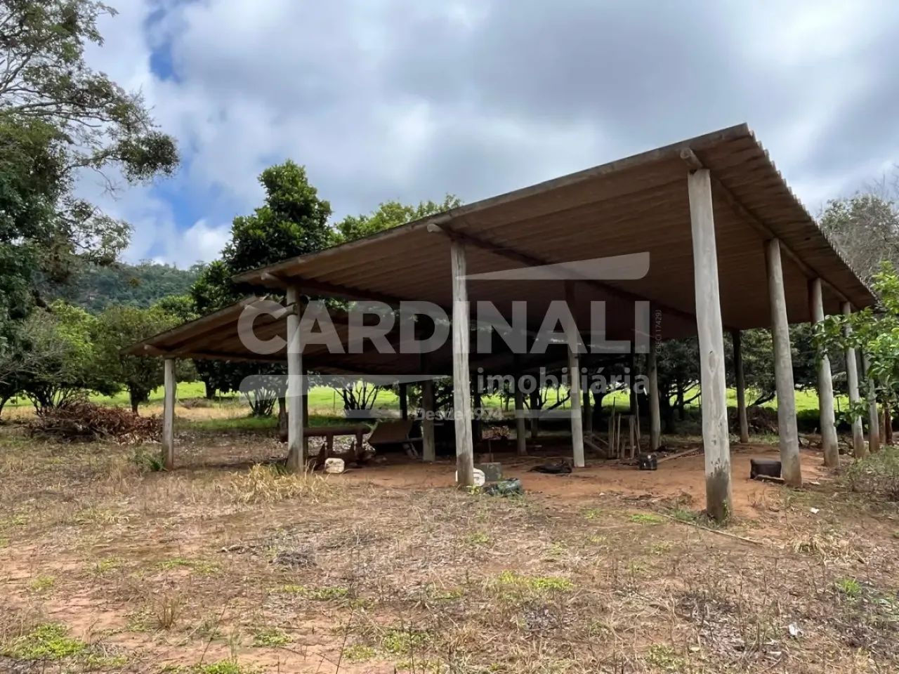 Fazenda em Analandia 11KM do Posto Grall Rubi - Foto 5