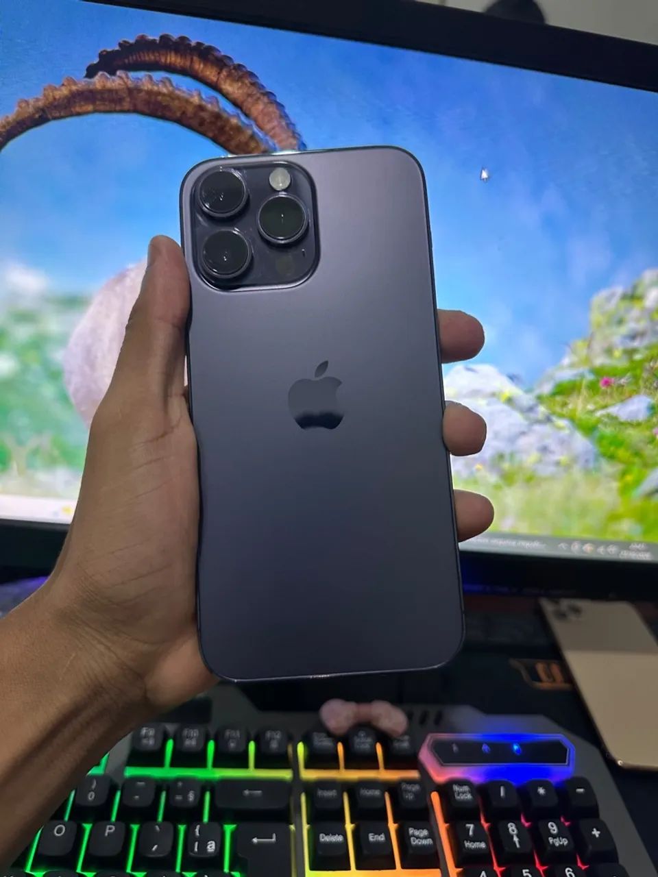 iPhone 14 Pro Max