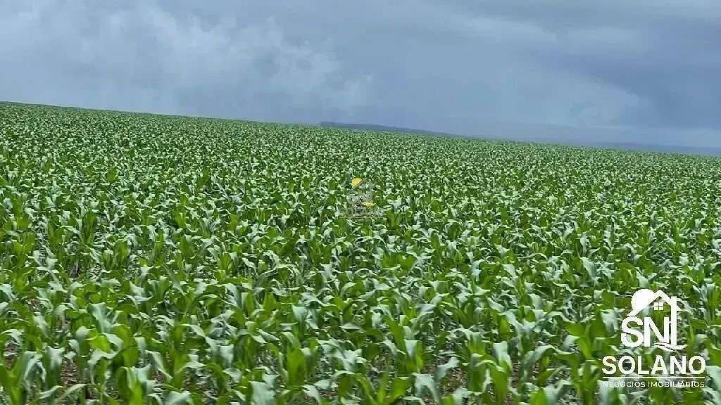FAZENDA A VENDA EM NOBRES-MT - Foto 2