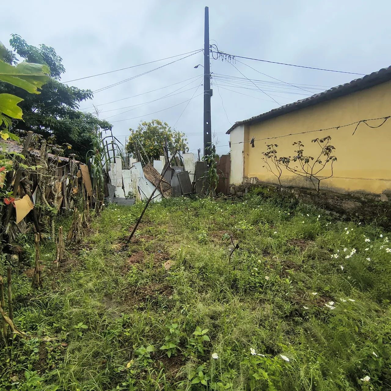 Terreno /Lote 6,00x25,00 - Foto 4