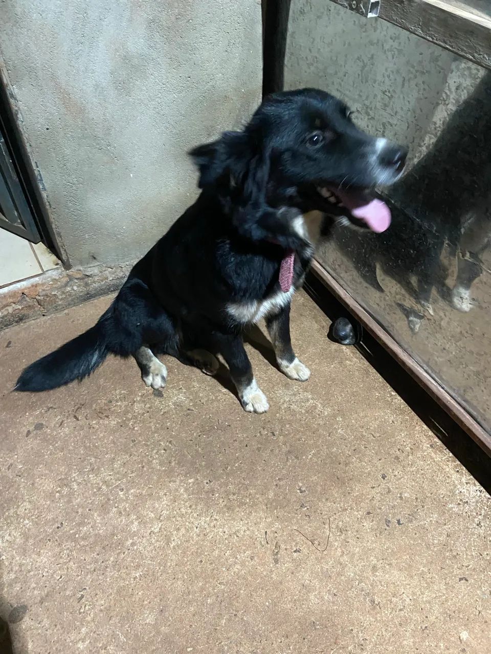 Para doação  - Foto 4