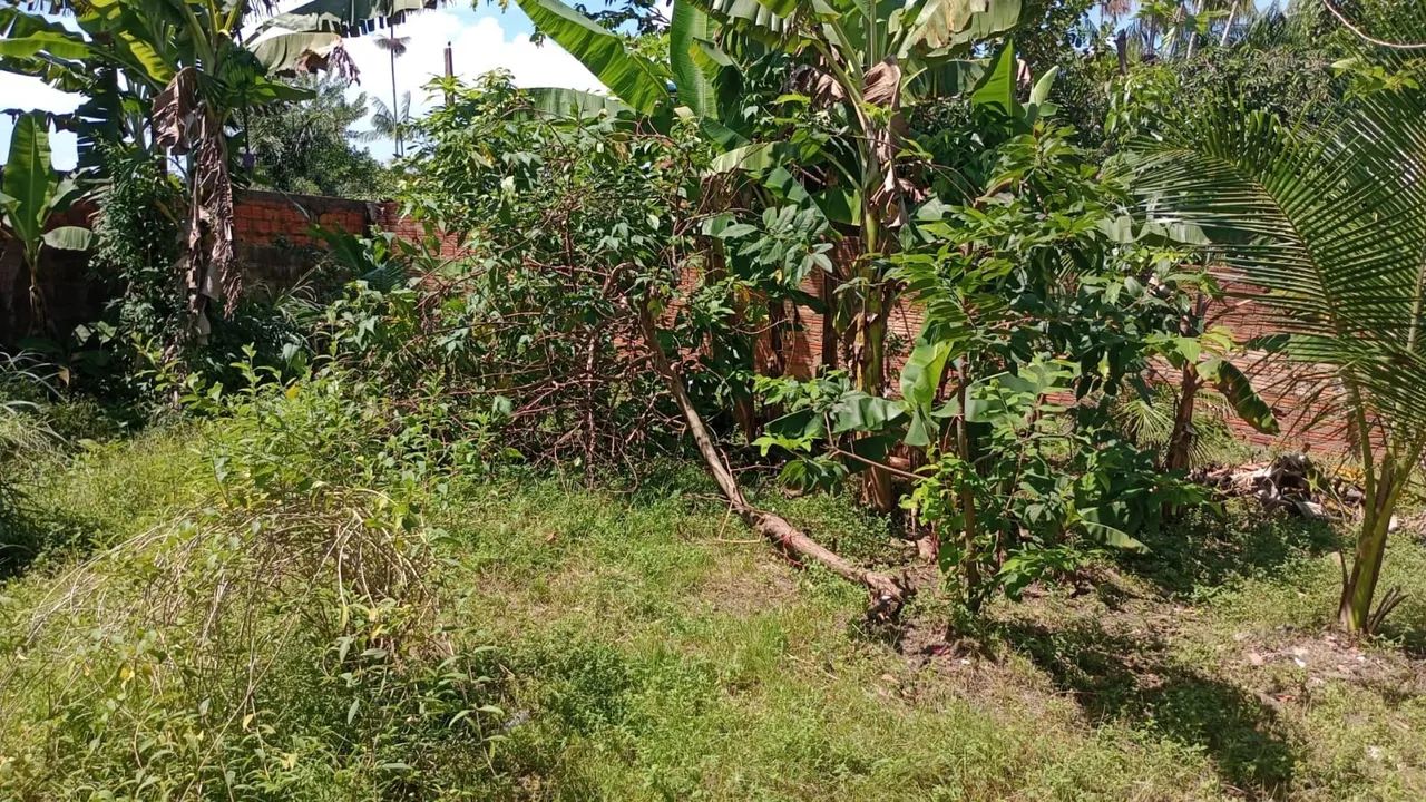 Vendo vila de kit net e terreno junto  - Foto 5