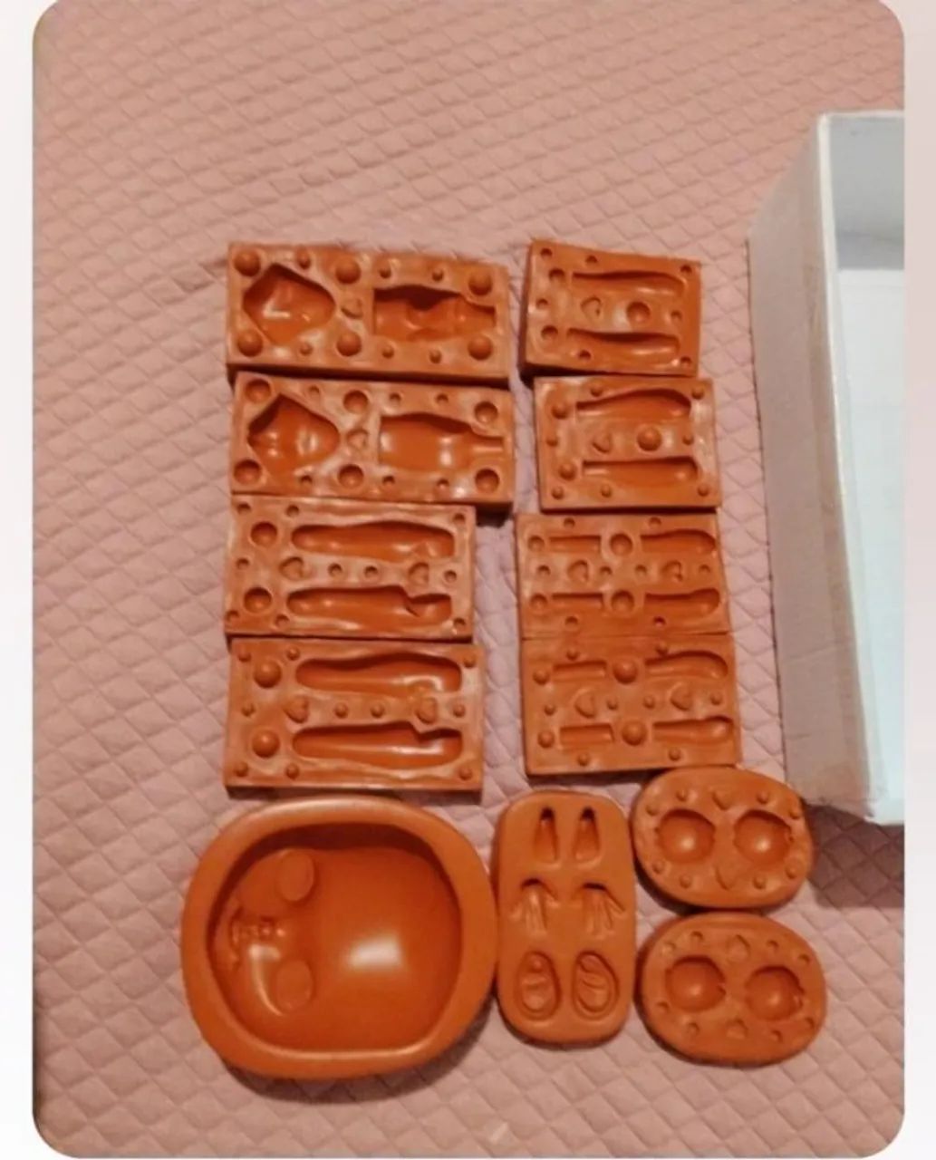 Molde de biscuit  - Foto 2