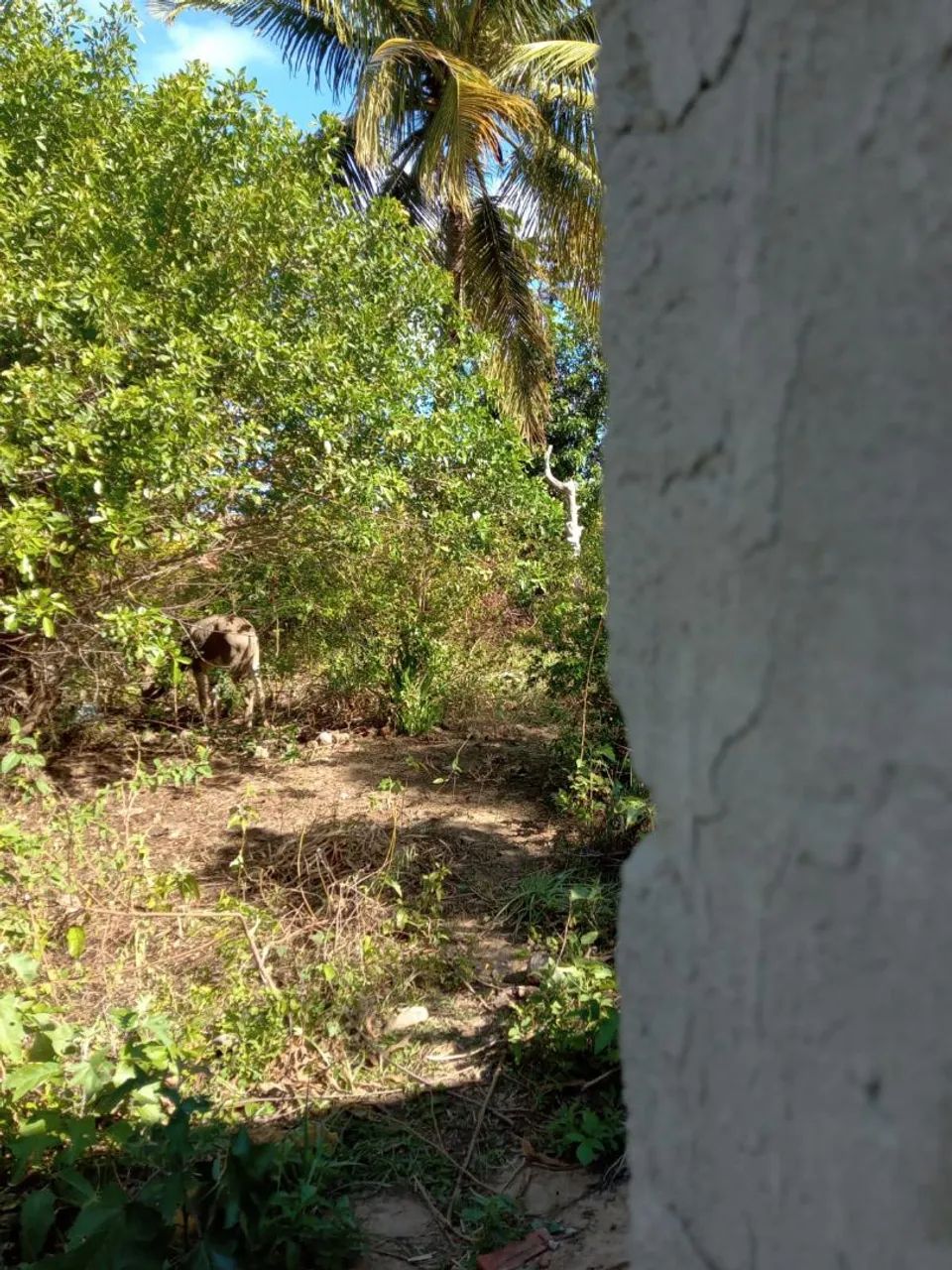 Terreno em Itamaracá  - Foto 3