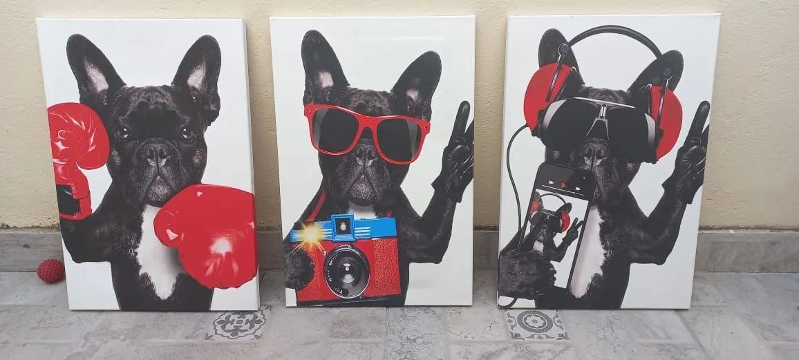 Quadro Decorativo Cachorro Buldogue Francês Divertido Kit com 3 Quadros