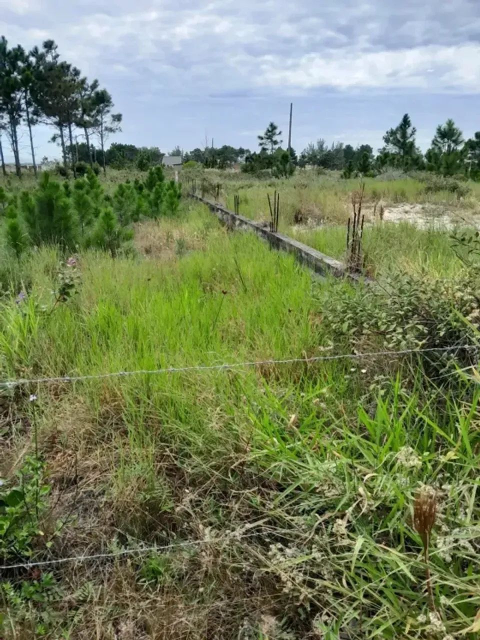 Preço de ocasião Terreno de 390m² aterrdado e murado Escriturado Pronto para construir - Foto 2