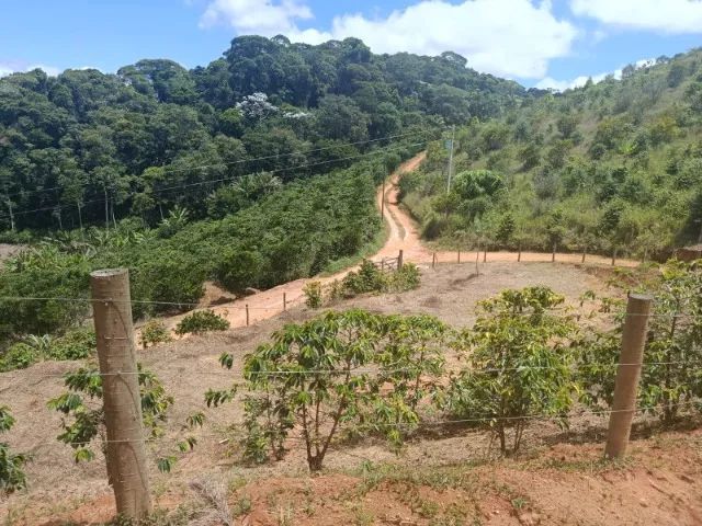 Chácara 900mt cercada e com platô - ESCRITURA e TOPOGRAFIA pronta - Foto 5