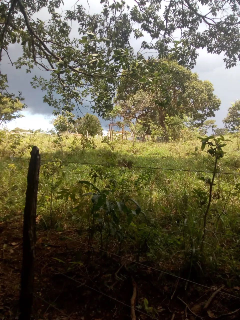 Chácara município de  Bonfinópolis,GO- 8 km da cidade - Foto 3