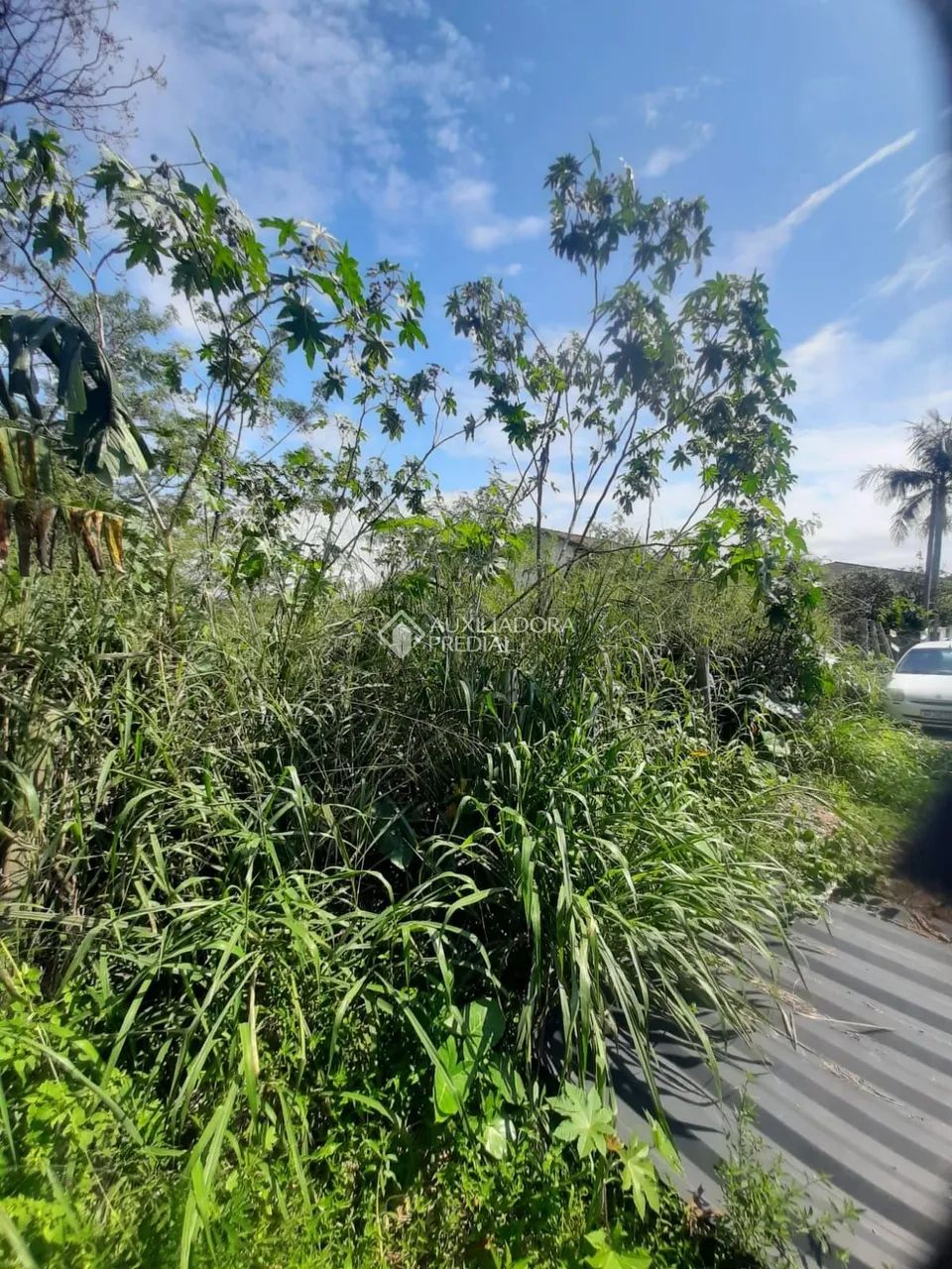 Terreno com 1060m² à venda em Campeche, Florianópolis.